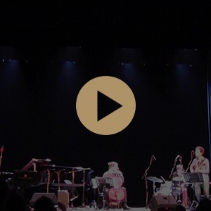 Johannes Maas trio, 20-й Международный фестиваль «Джазовая Провинция», 2015 год